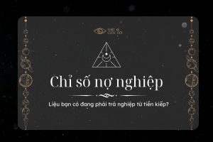 chỉ số nợ nghiệp