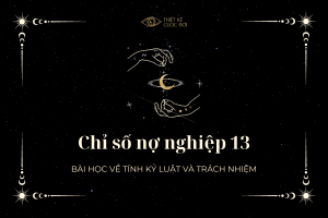 chỉ số nợ nghiệp 13